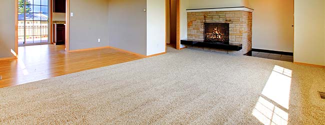 Carpet